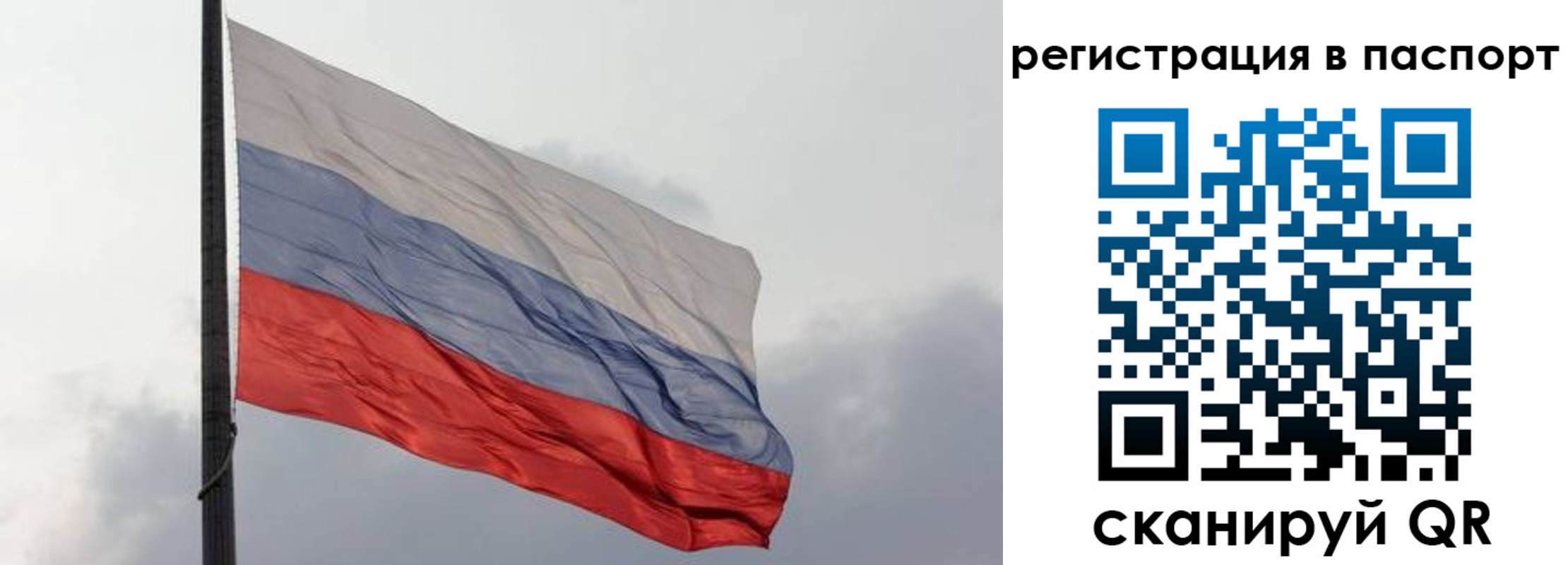 прописка для школы в Светлом