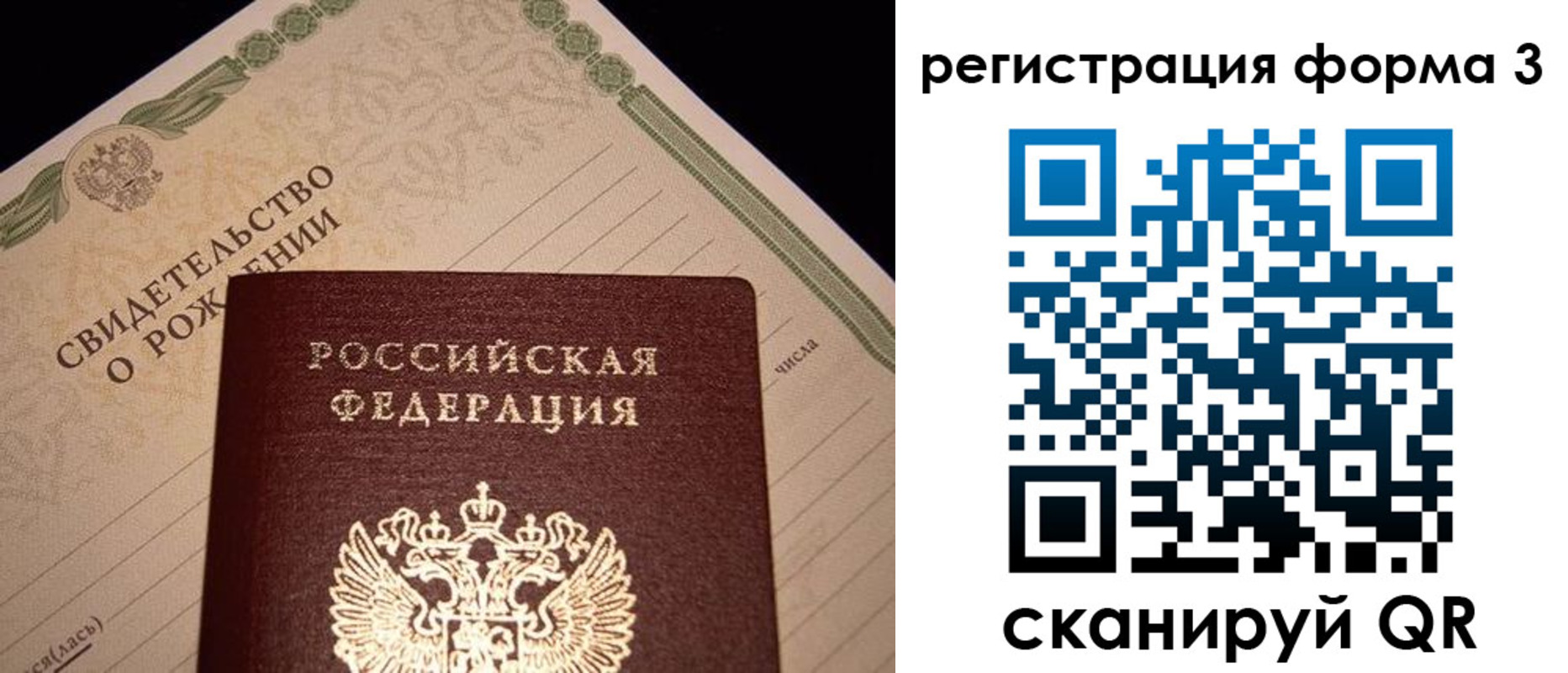 прописка поиск в Светлом